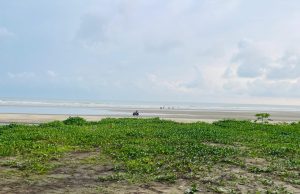 Monsoon Rains Revive Sagarlata Along Marine Drive