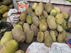 National Fruit in High Demand as Jackfruit Market Bustles in Cox’s Bazar
