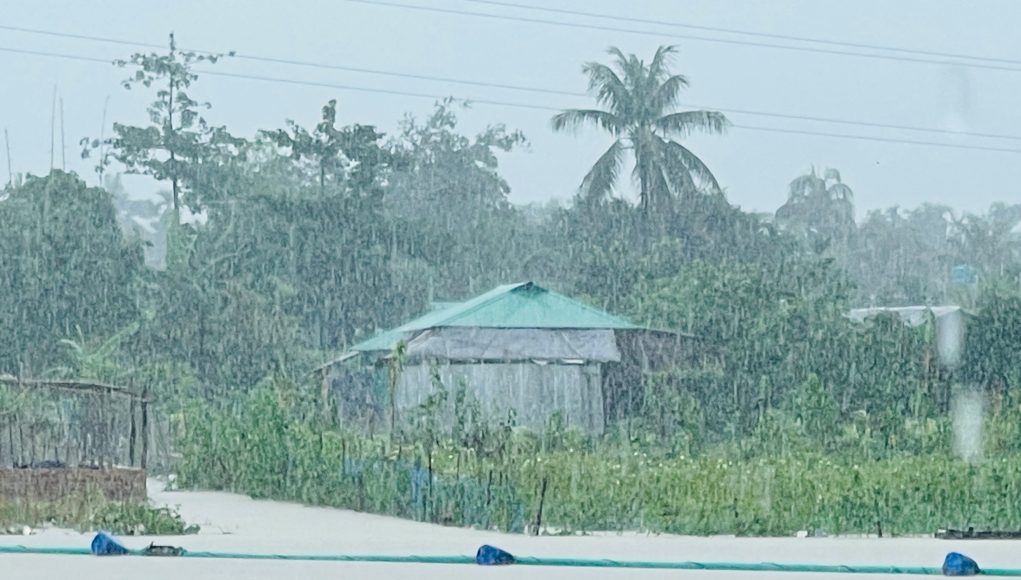 Flood