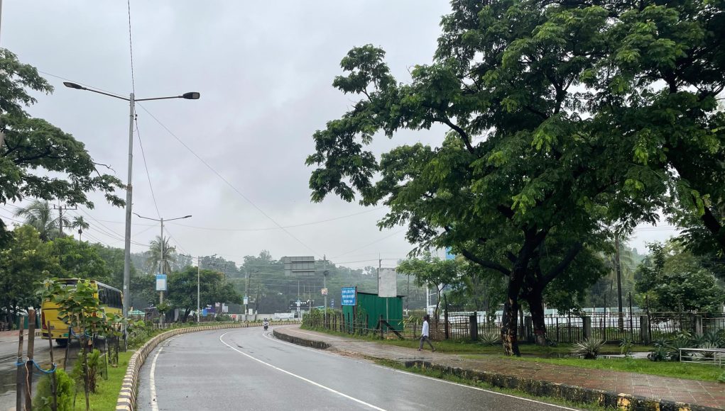 Rainfree