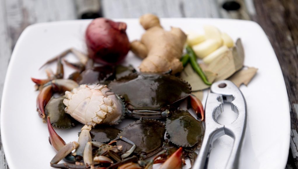 Crab