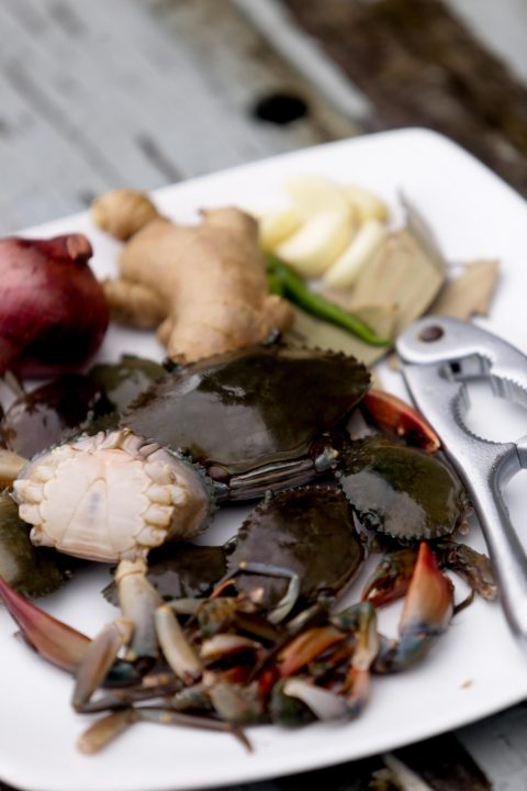 Crab 2 1