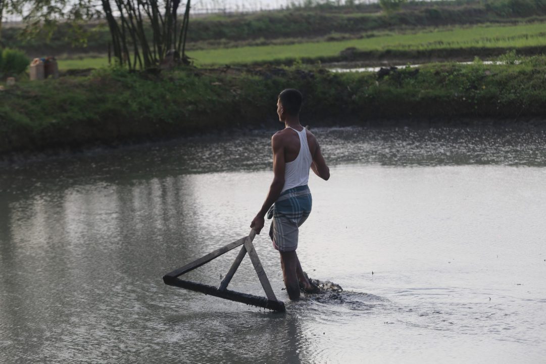 Farmingg 4