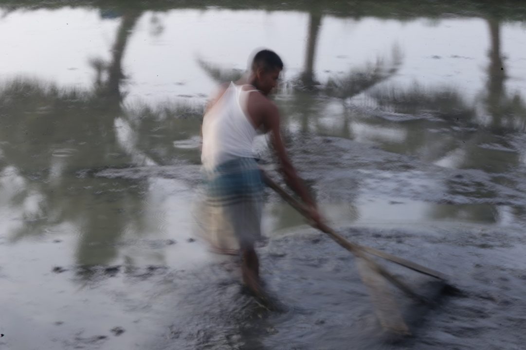 Farminggg 2