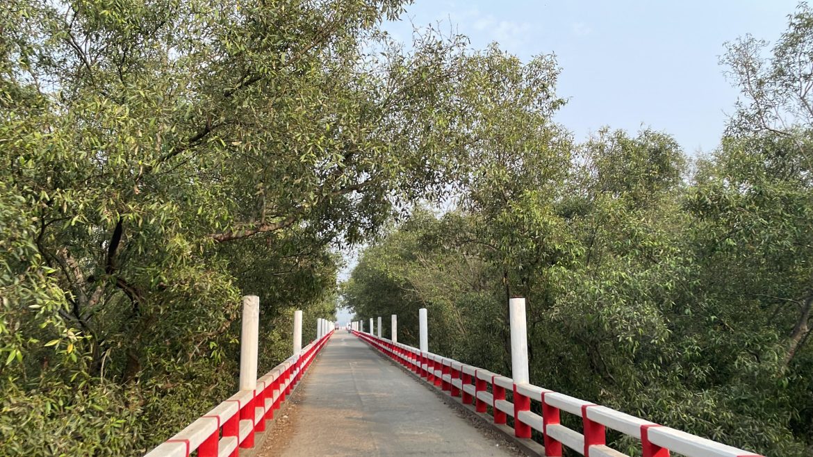 MOHESHKHALI N
