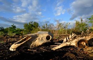 El Nino Could Cause 451,000 Extra Heat Deaths: Research
