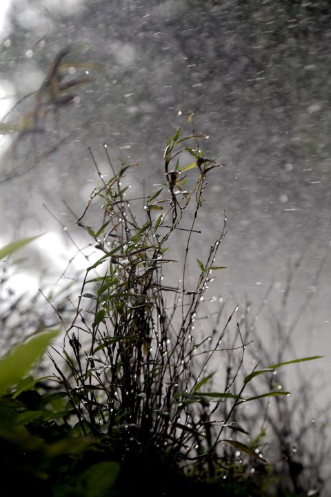 Falls 4