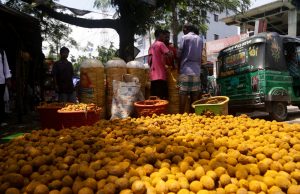 Raw Betel Nuts Flood Teknaf and Ukhiya Markets