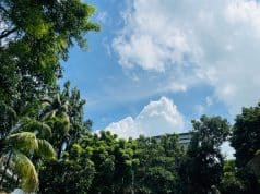 White Clouds Drift Across Cox’s Bazar’s Blue Autumn Sky