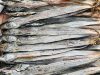 Dried Churi Fish Is Popular in Cox’s Bazar Market