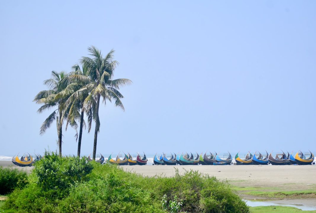 Sampan 6