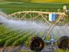 World’s Water Cycle Becoming More Unpredictable, UN Warns