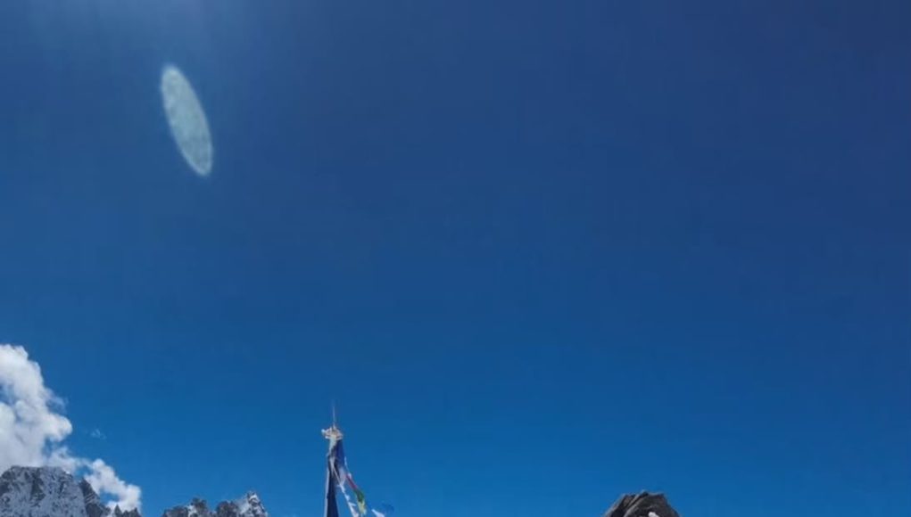 1000320774