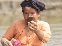 A Monthly Search for Sea Mussels