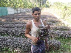 From Seed to Market in Just 20 Days