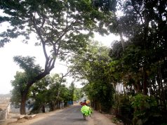 A Riverside Pause: Kayaking on Reju Khal