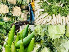 Early Winter Vegetables Hit Cox’s Bazar Market, but Prices Remain High