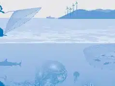 Bangladesh Moves to Unlock Vast Blue Economy Potential