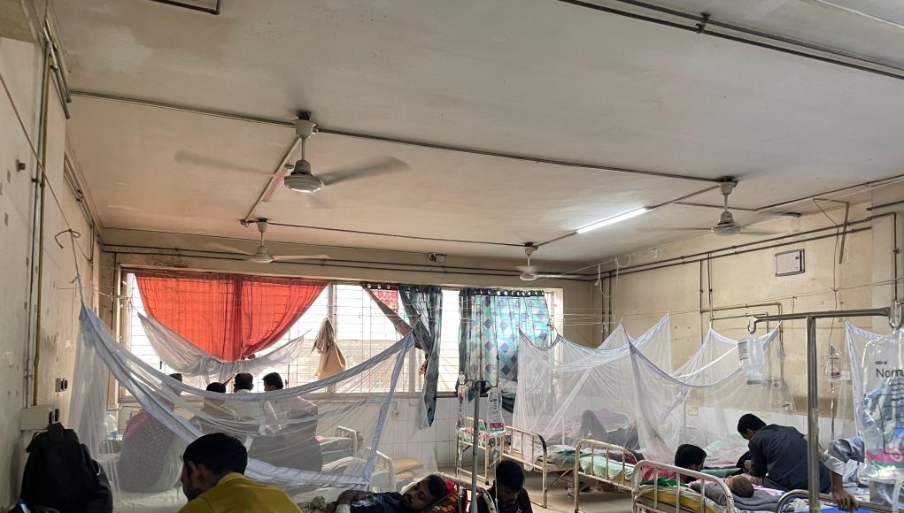 Dengue Photo