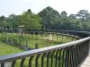 Tourists Overlook Bangladesh’s First Safari Park Near Cox’s Bazar