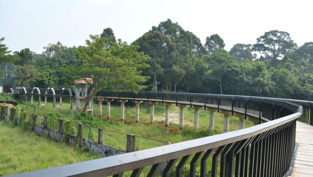 Tourists Overlook Bangladesh’s First Safari Park Near Cox’s Bazar