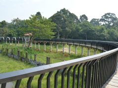 Tourists Overlook Bangladesh’s First Safari Park Near Cox’s Bazar