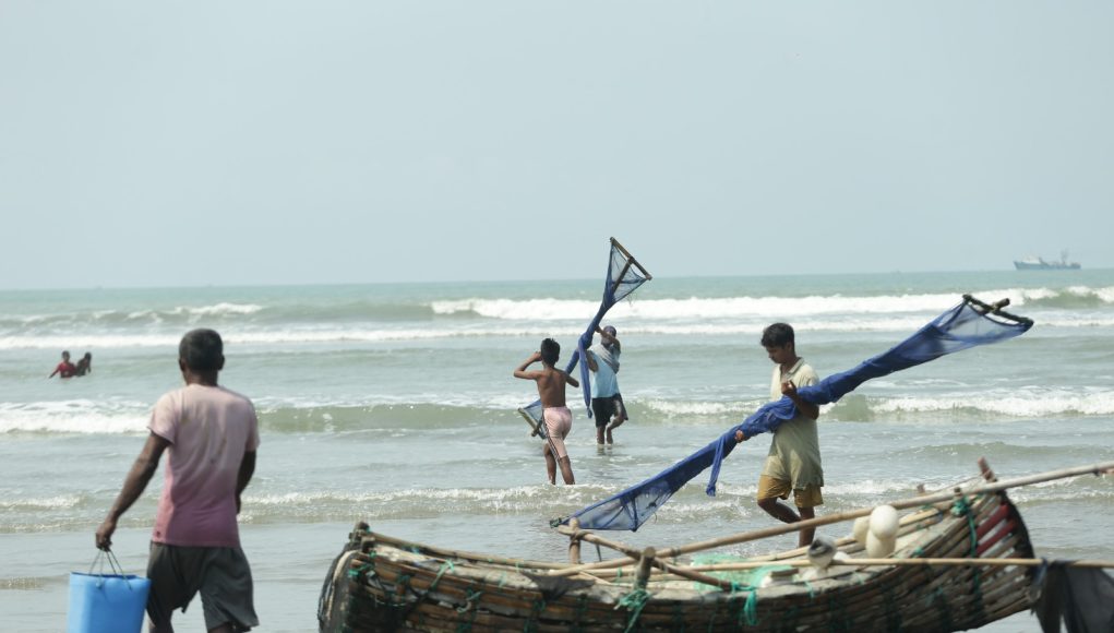 Fish catching 6