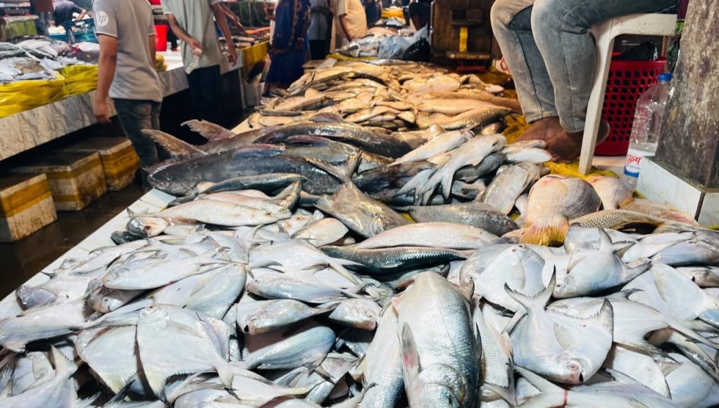 Fish prices