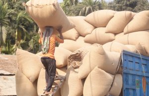 From Rice Husk to Fuel: A Year-Round Activity at Ukhiya’s Rice Mills