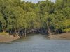 Industrial Air Pollution Threatens Sundarbans’ Long-Term Ecological Health