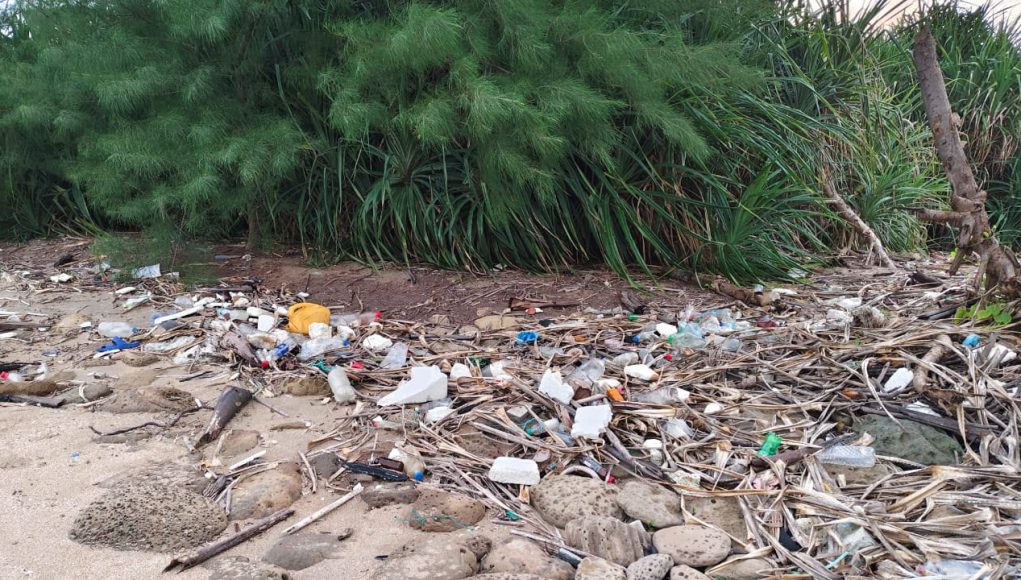Waste Plastic