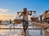 Cox’s Bazar’s White Gold: A Thousand-Crore Economy Under Siege