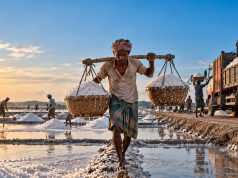 Cox’s Bazar’s White Gold: A Thousand-Crore Economy Under Siege